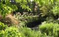 Giardino in bianco sui colli romani